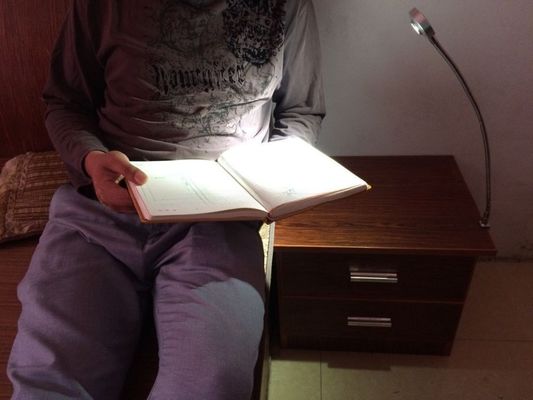 Lighting and Circuitry Design Wall Mount LED Gooseneck Reading Light for Bed Headboard